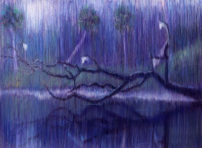 Myakka River Tapestry