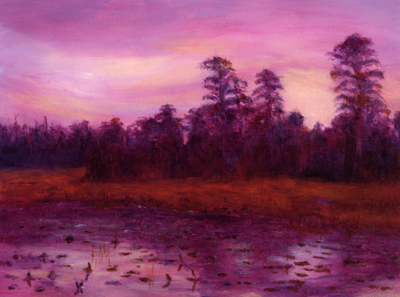 Okefenokee Suite #1: Sunset on Chase Prairie