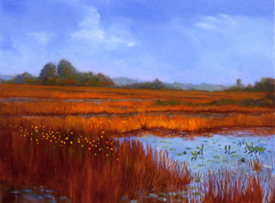 Okefenokee Suite #3: Chase Prairie Morning