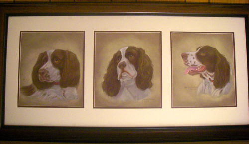 The Three Springer Spaniels