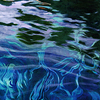Thumbnail of Silver River: Depths and Reflections