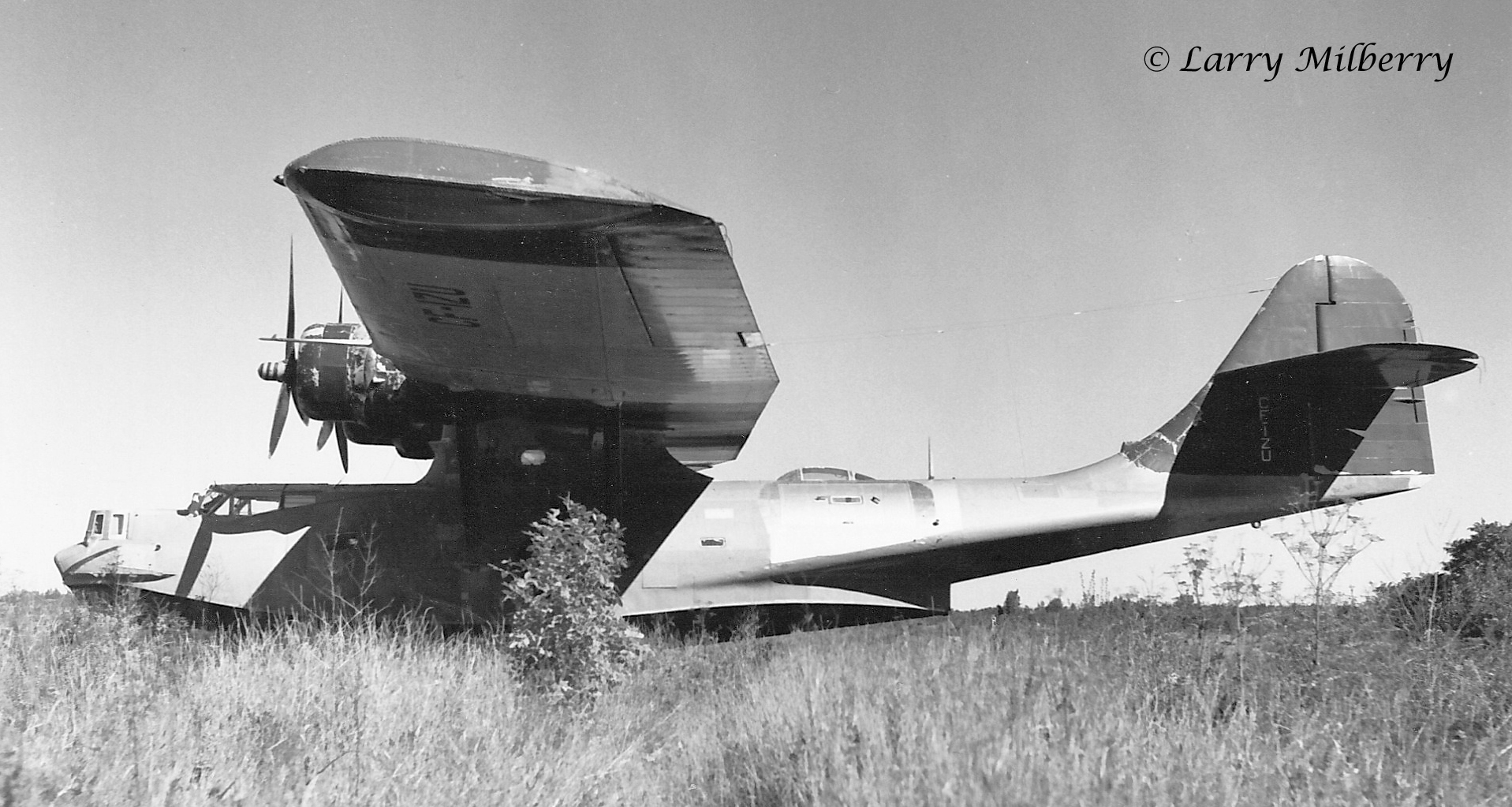 WWA-PBY_CF-IZU_DMKwebsite